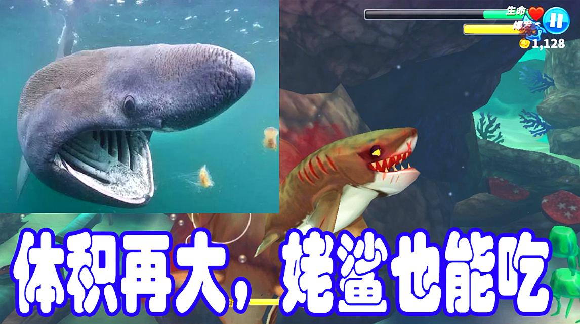 游戏直通车:休闲类游戏《饥饿鲨:进化》的精彩集合