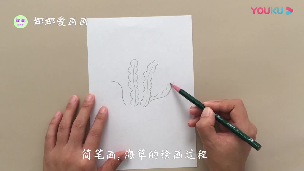 海草简笔画怎么画?