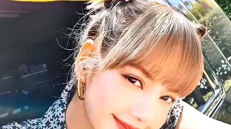 Lisa是什么脸型 百度