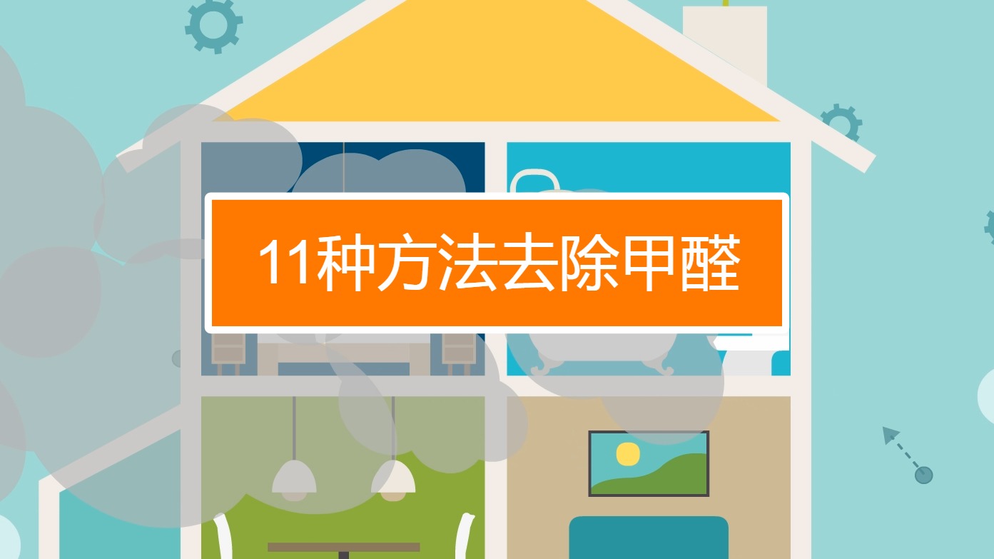 11种方法去除甲醛