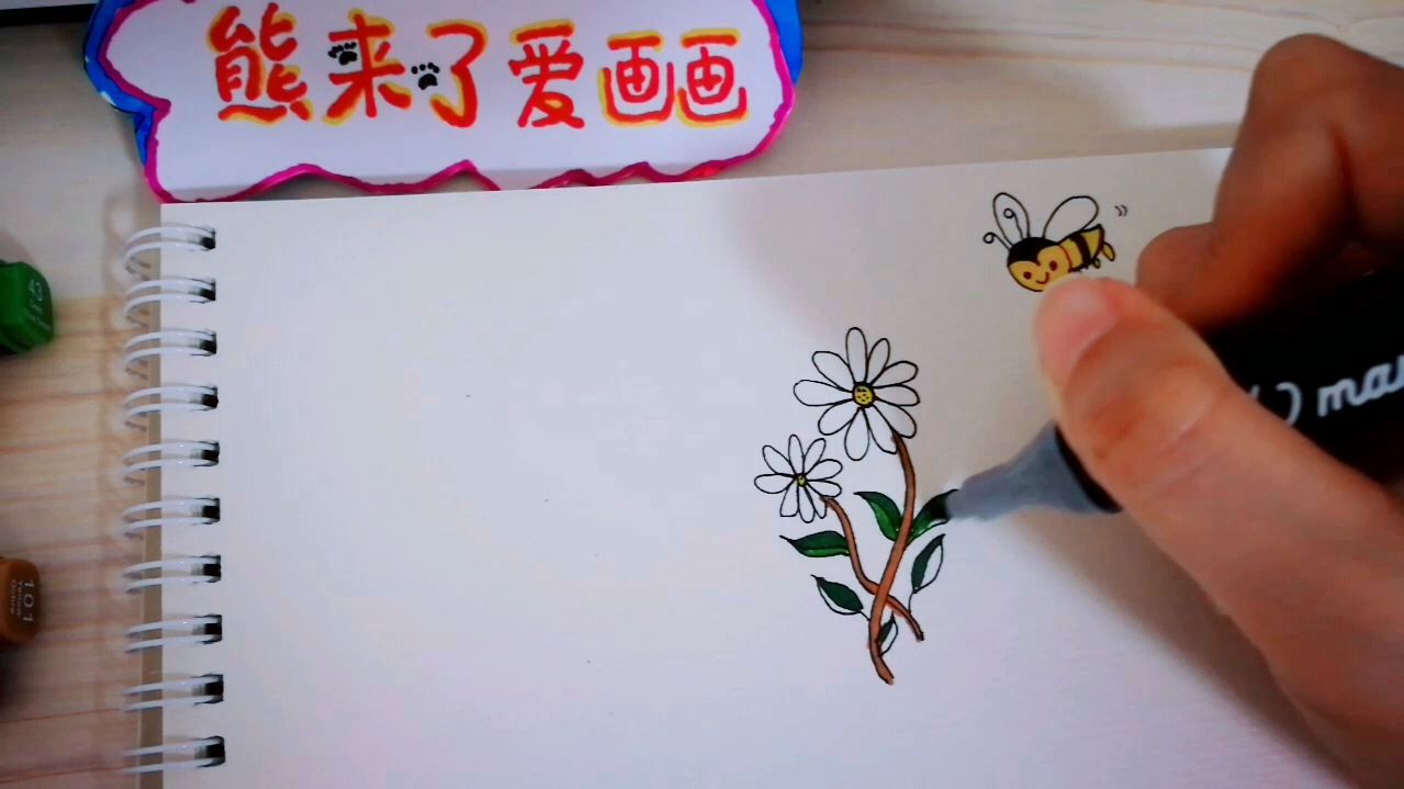 儿童简笔画 教画菊花和蜜蜂 一分钟快速学会