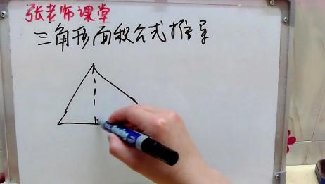 跟老师学数学 小学生三角形的面积 相关视频 三角形周长公式是什么 跟老师学数学 小学生三角形的面积 相关视频 三角形周长公式是什么