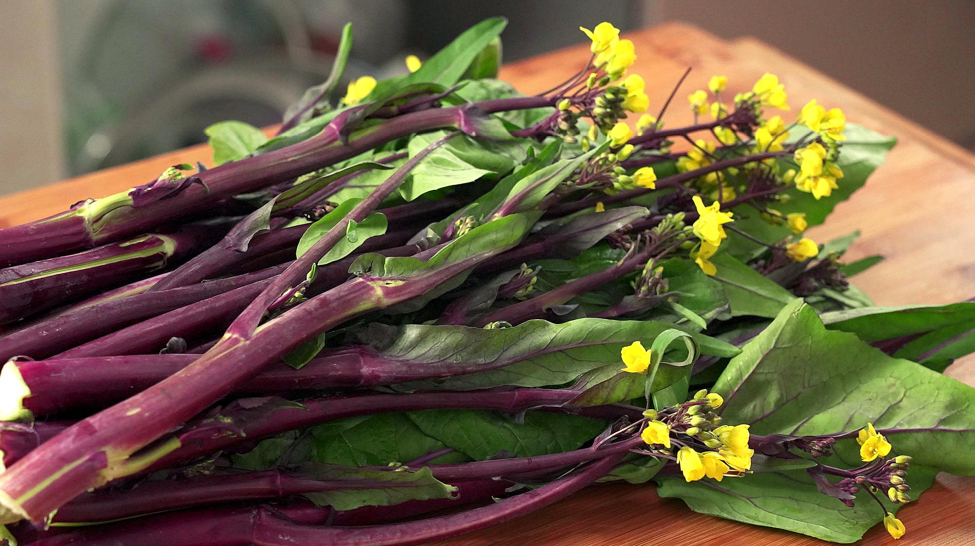 紫菜苔最经典的吃法,简单几步,清脆爽口又入味,上桌瞬间被扫光