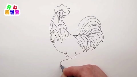 开心画世界简笔画第72集:儿童简笔画教程 如何画公鸡