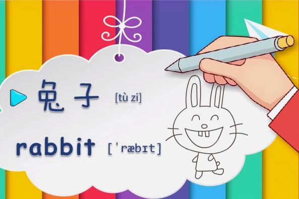 小兔子英语怎么读