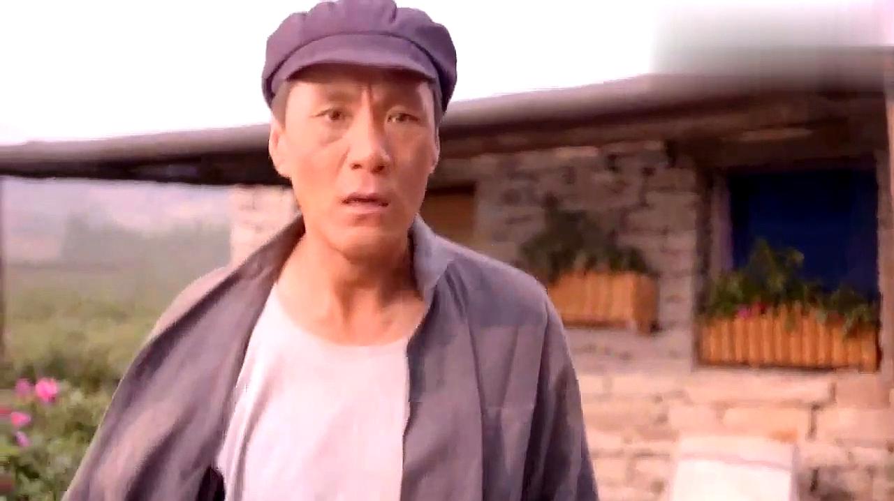 电视剧《老农民》主要角色盘点,个个脸熟