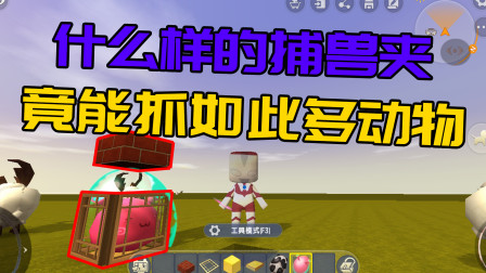 迷你世界:什么样的捕兽夹,竟然能抓如此多,生存模式再也不怕没肉吃