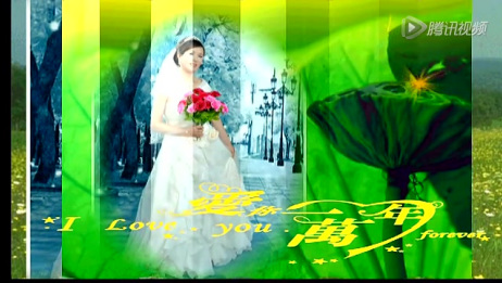 珊瑚婚纪念 爱言情