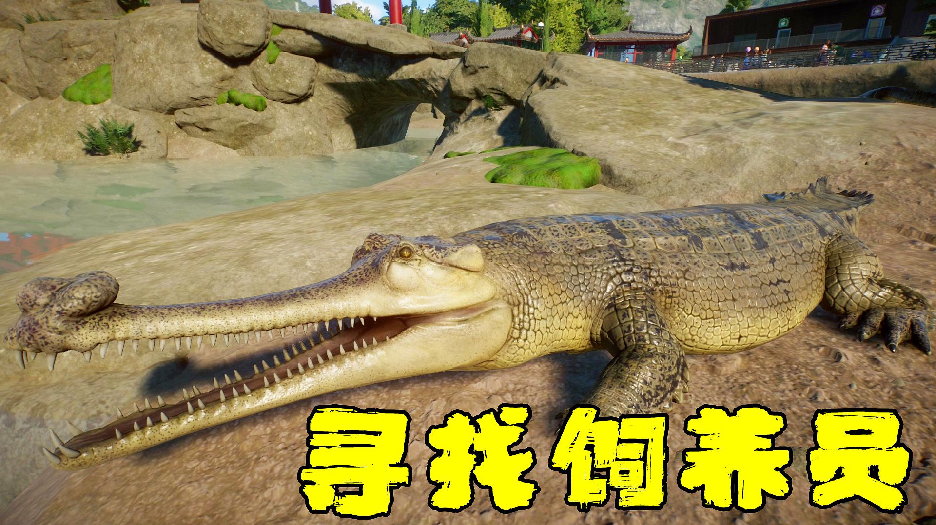 动物园之星里的动物不好养