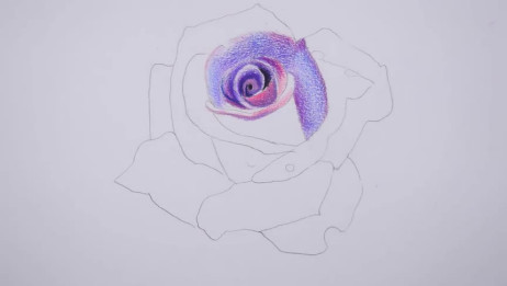 彩铅画一朵紫色鲜花 爱言情