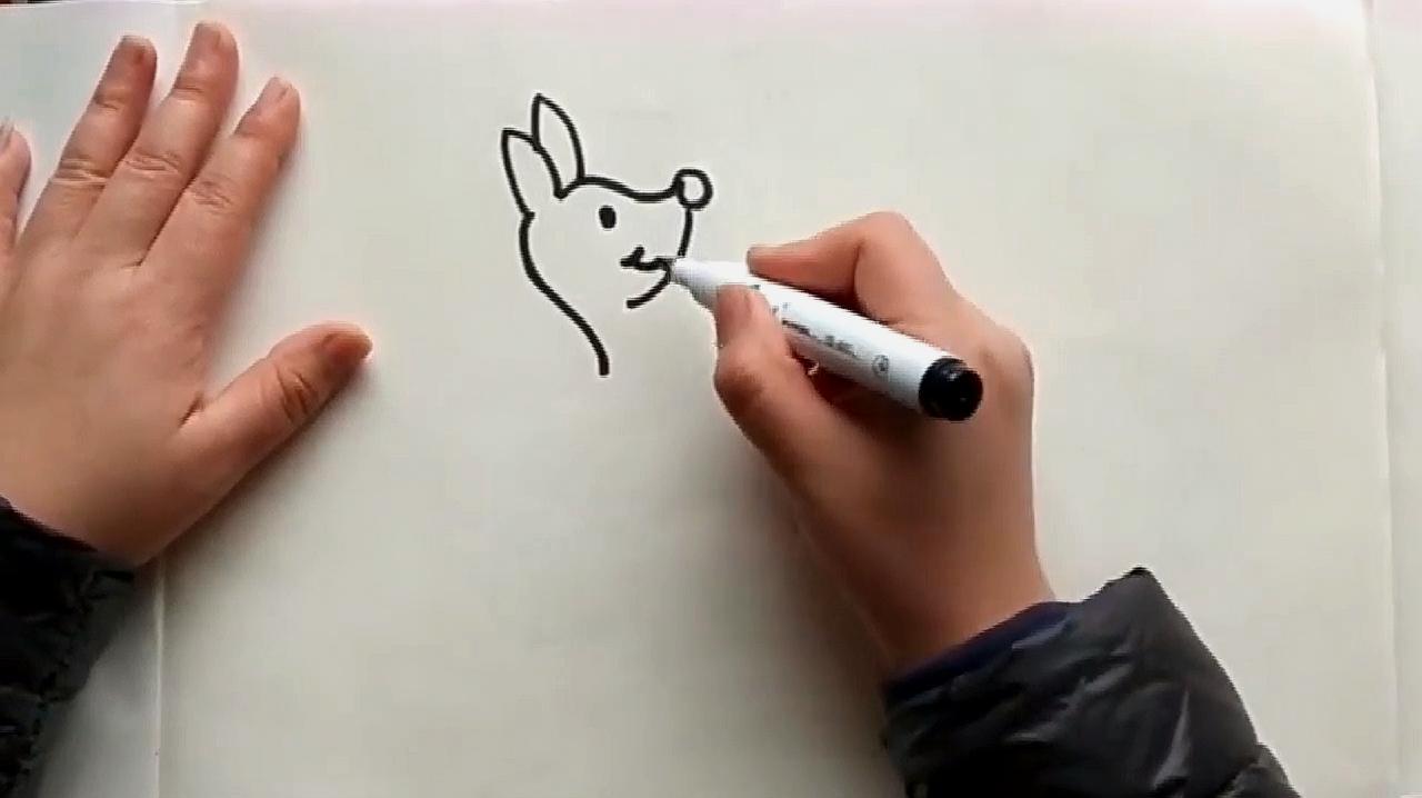 怎么画袋鼠简笔画