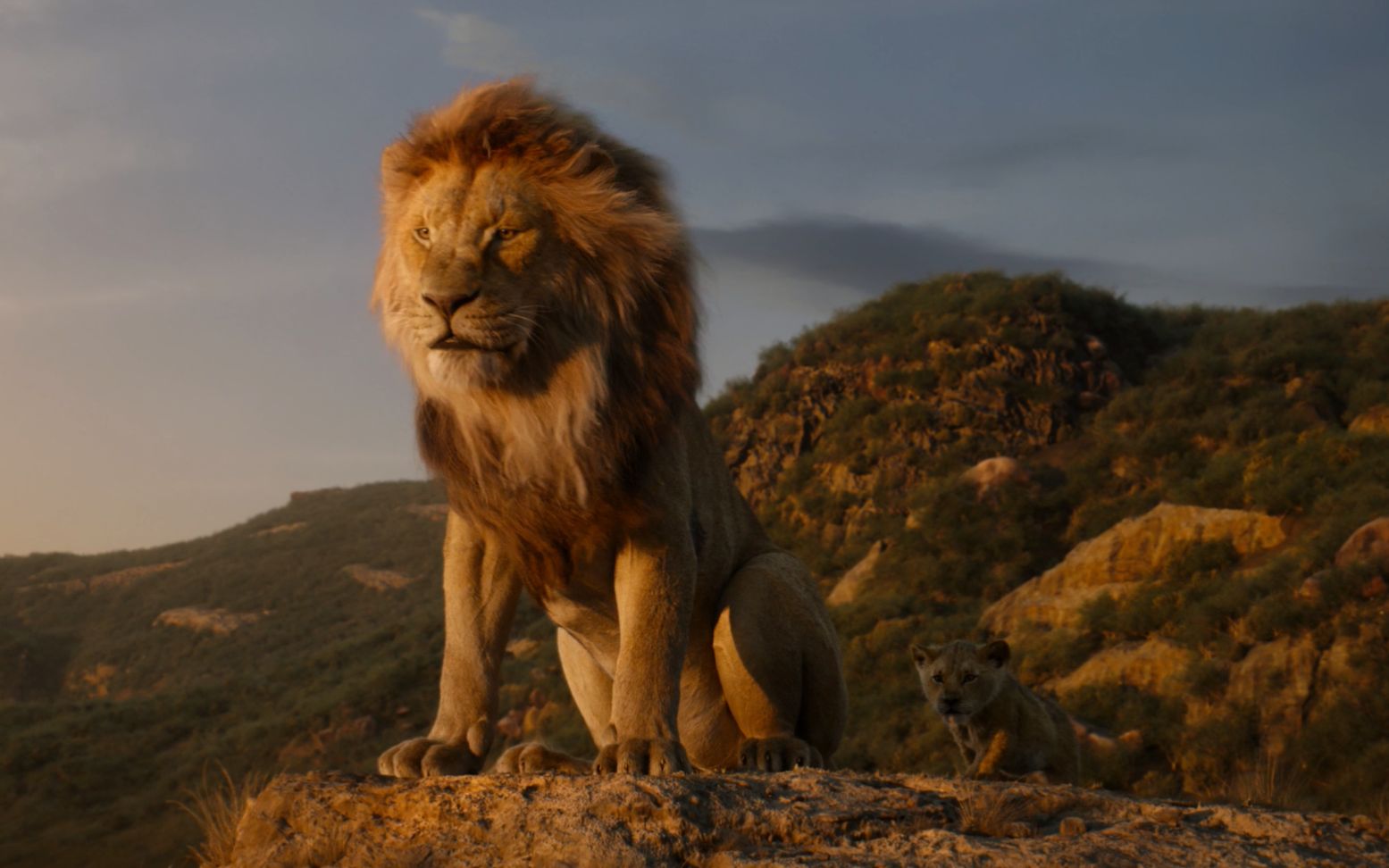 2019电影《狮子王 the lion king》中英字幕预告1080p,狮子王真人版