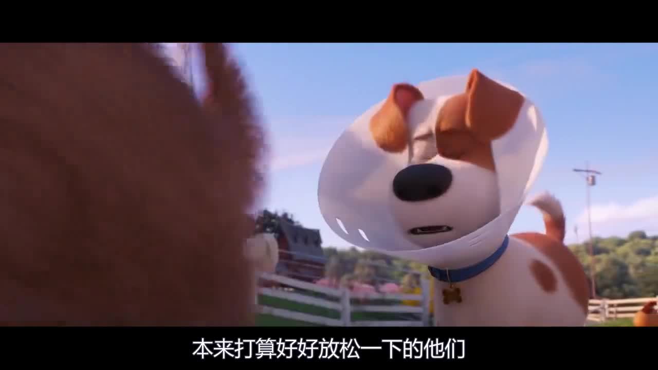 【牛叔说电影】几分钟看密室惊悚片《尸检无名女尸》