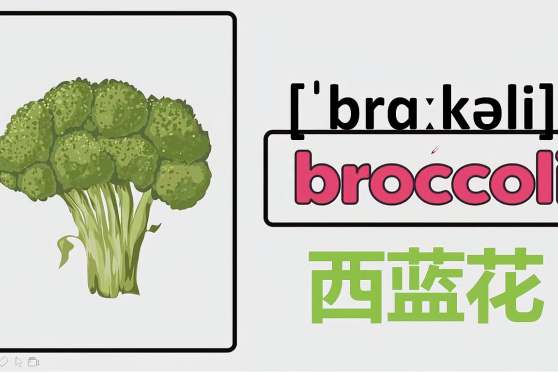 西兰花英文怎么说 百度 西兰花英文怎么说 百度