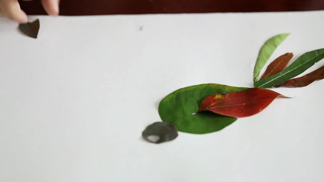 02:54 来源:好看视频-简单又漂亮的树叶贴画,制作一个小螃蟹,很
