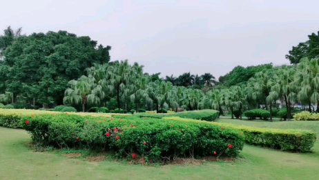 春回大地 万物复苏 春天的景色太美了 爱言情 春回大地 万物复苏 春天的景色太美了 爱言情