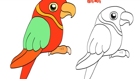 简单又漂亮的鹦鹉画法,太神气了!