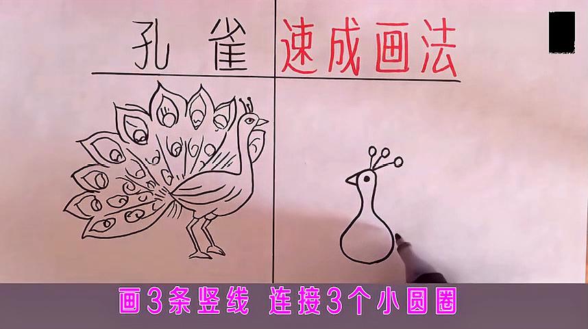 孔雀开屏简笔画怎么画