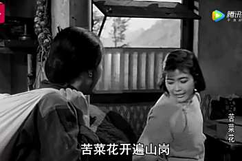 歌曲苦菜花主题曲王音璇 百度视频搜索