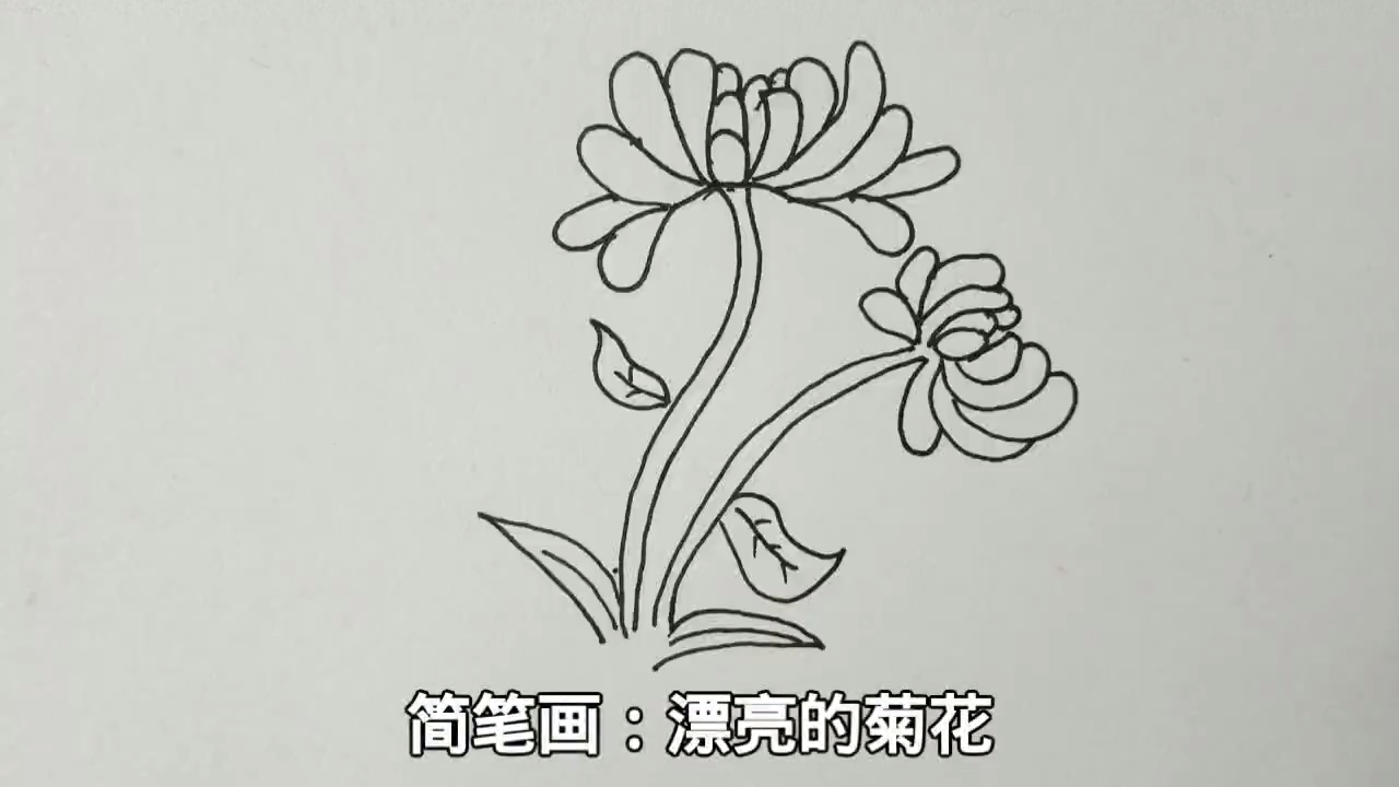 来源:百度经验-简笔画太阳花 简单好学 服务升级打开原网页 10菊花简