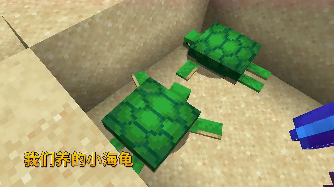 我的世界1.14联机92:脚手架区域之前我们来过,我看见小海龟了