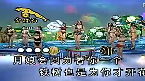 十二大美女海底城泳装歌唱秀