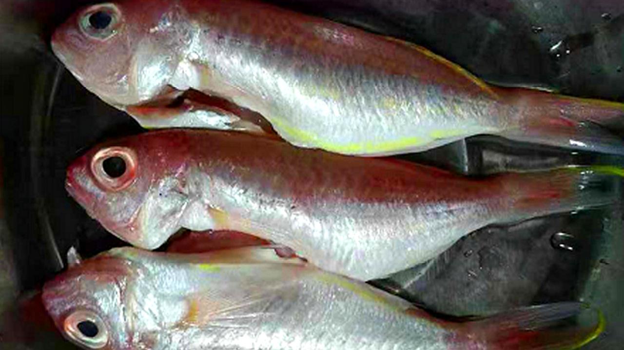 饭店的红线鱼为什么那么好吃,原来关键在调料上,学道过年菜!