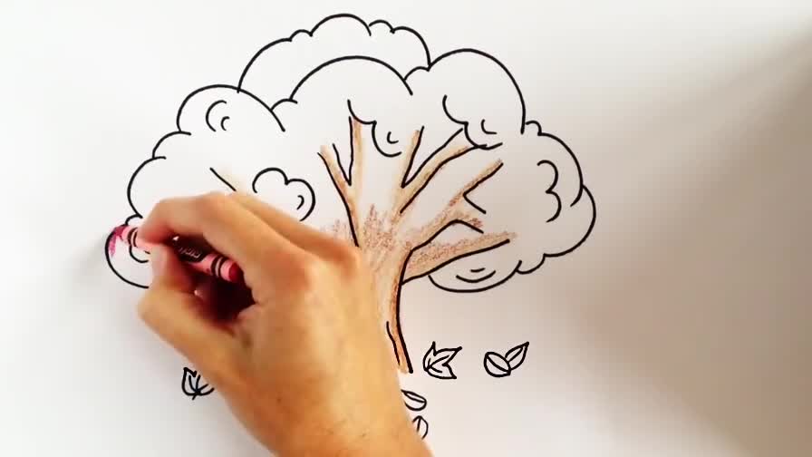 知识树怎么画?