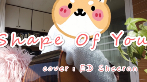 Shape Of You 黄老板的小黄歌ed Sheeran 人生必听英文歌单