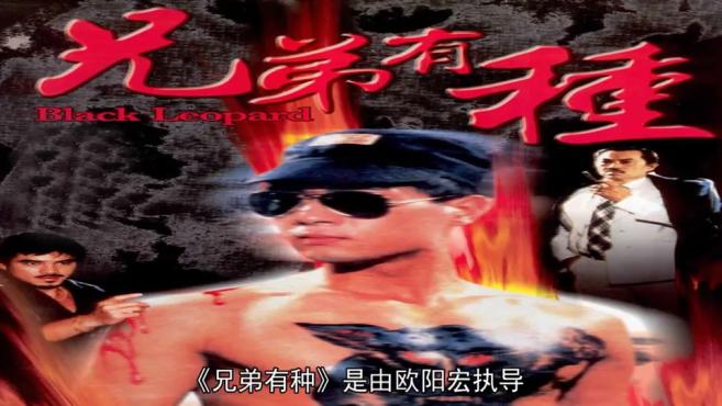 4陈星主演的动作类电影:「秒懂百科」一分钟了解《上海滩大亨》  00