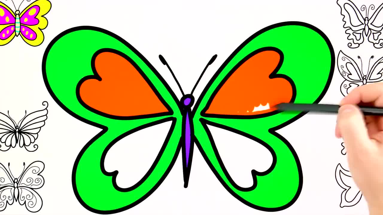 启蒙绘画:如何简单的画一只漂亮的蝴蝶呢?