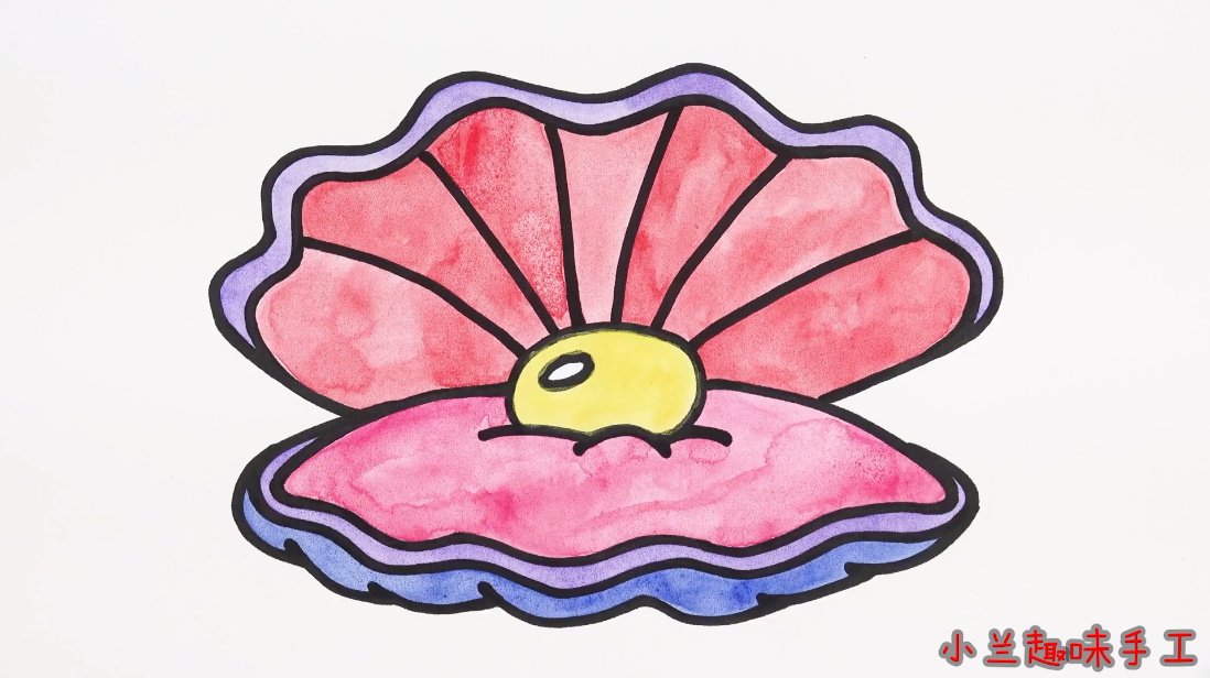 4精美贝壳的画法:首先画出贝壳的轮廓,再画出贝壳的底座,最后涂上