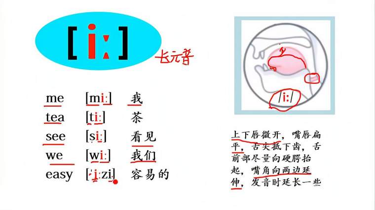 英语发音舌头位置图解 百度
