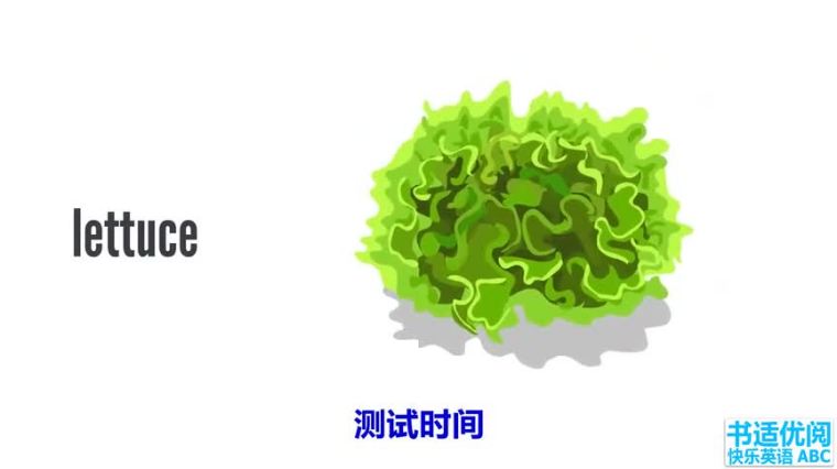 西兰花英语音标怎么读 百度 西兰花英语音标怎么读 百度