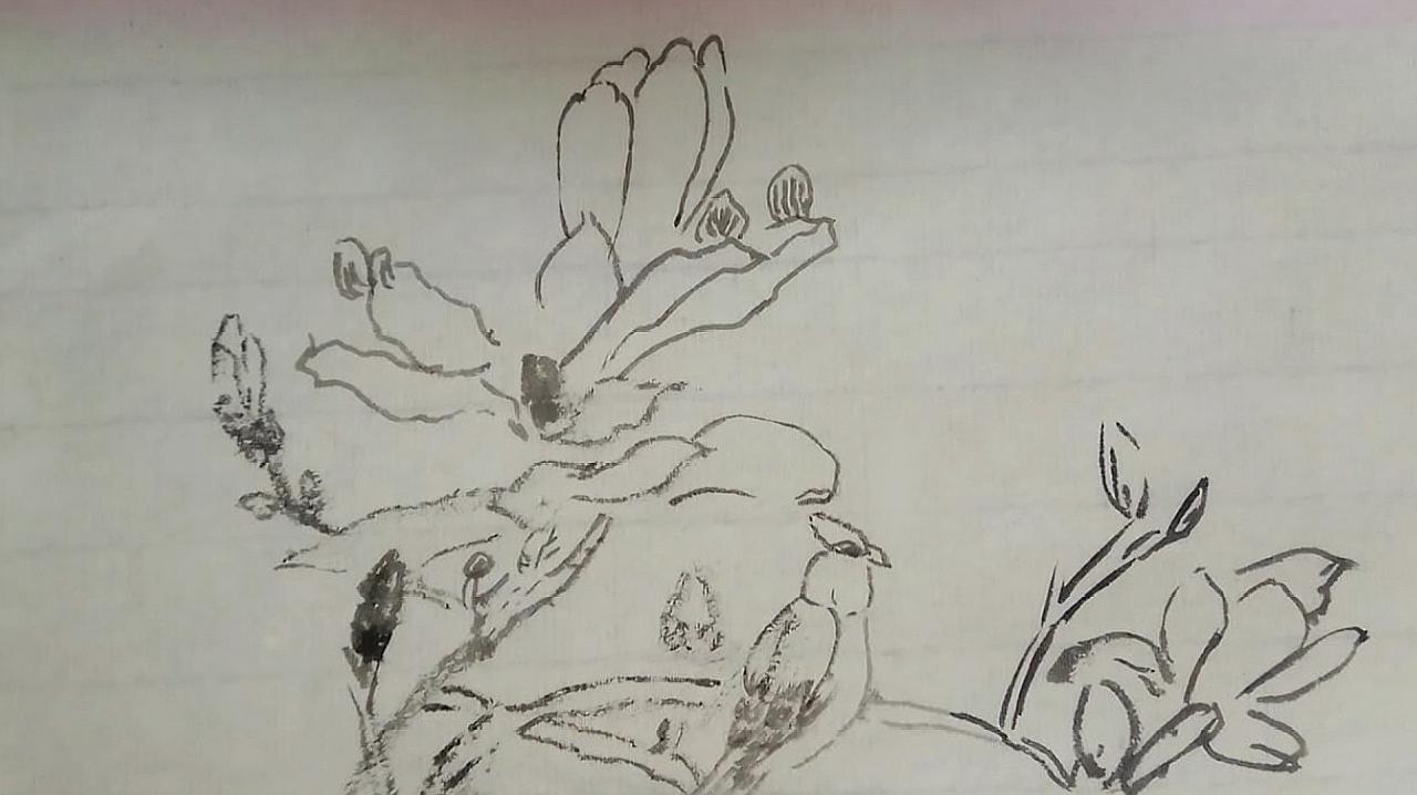 国画花鸟怎么画?