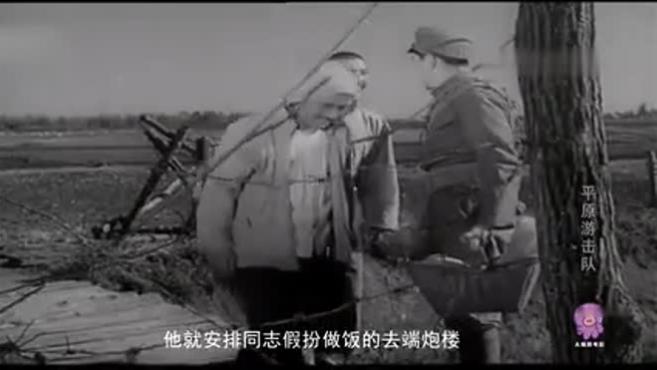 6分钟解说老电影《平原游击队》,李向阳大显身手,一代人的回忆