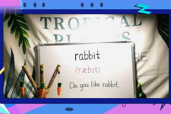 兔子的英语单词是什么