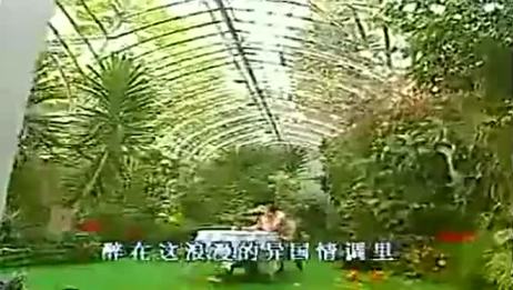 一分钟了解菩萨蛮 风柔日薄春犹早 爱言情 爱生活爱言情