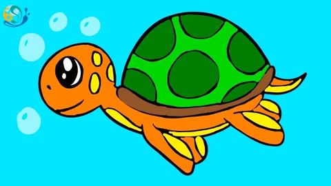 可爱大海龟,绘画就是如此简单