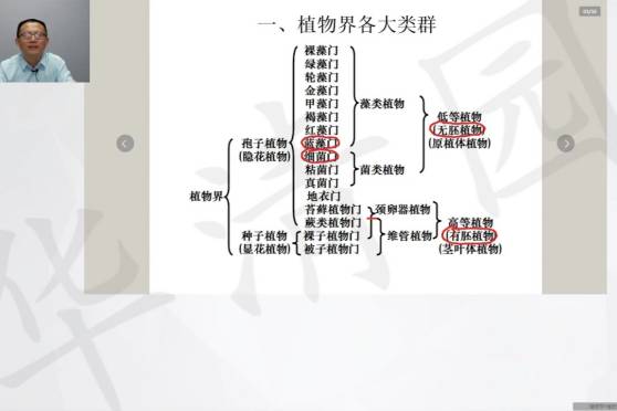 植物分类界门纲目科属种 百度