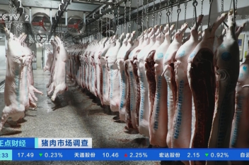 百度