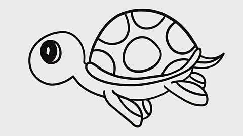可爱小乌龟,简单来绘画
