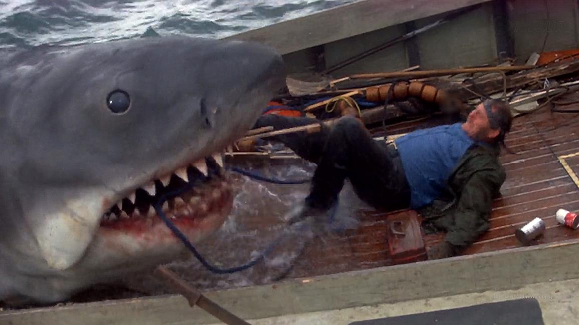 40年前的怪物灾难片,巨鲨一口吞一个,每一秒都惊吓无比