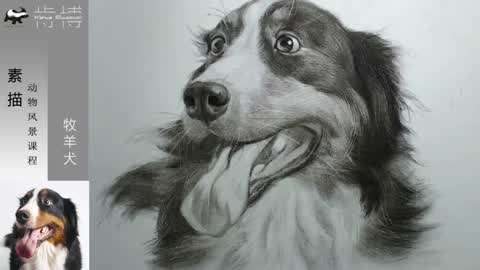 肯博美术素描绘画100练