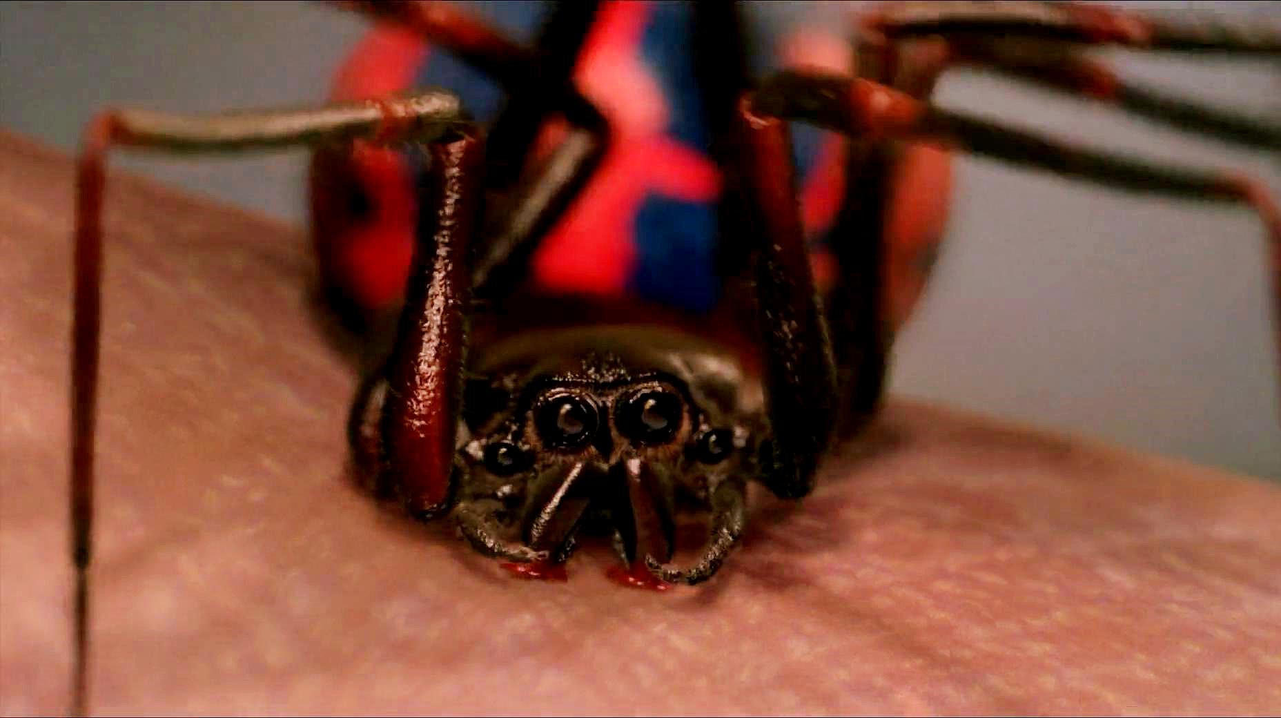 十八般武艺都在这里,十部经典泡妞电影,让你成为撩妹达人!