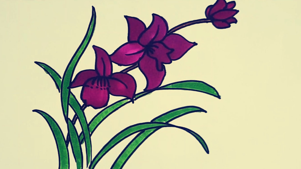 2百合花画法:首先画出花蕊部分,再画出喝的叶子,再将花的花蕊部分进行