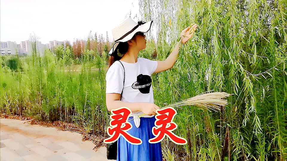 11女歌手唱一首《灵灵》dj版好嗨,听着真带劲  0