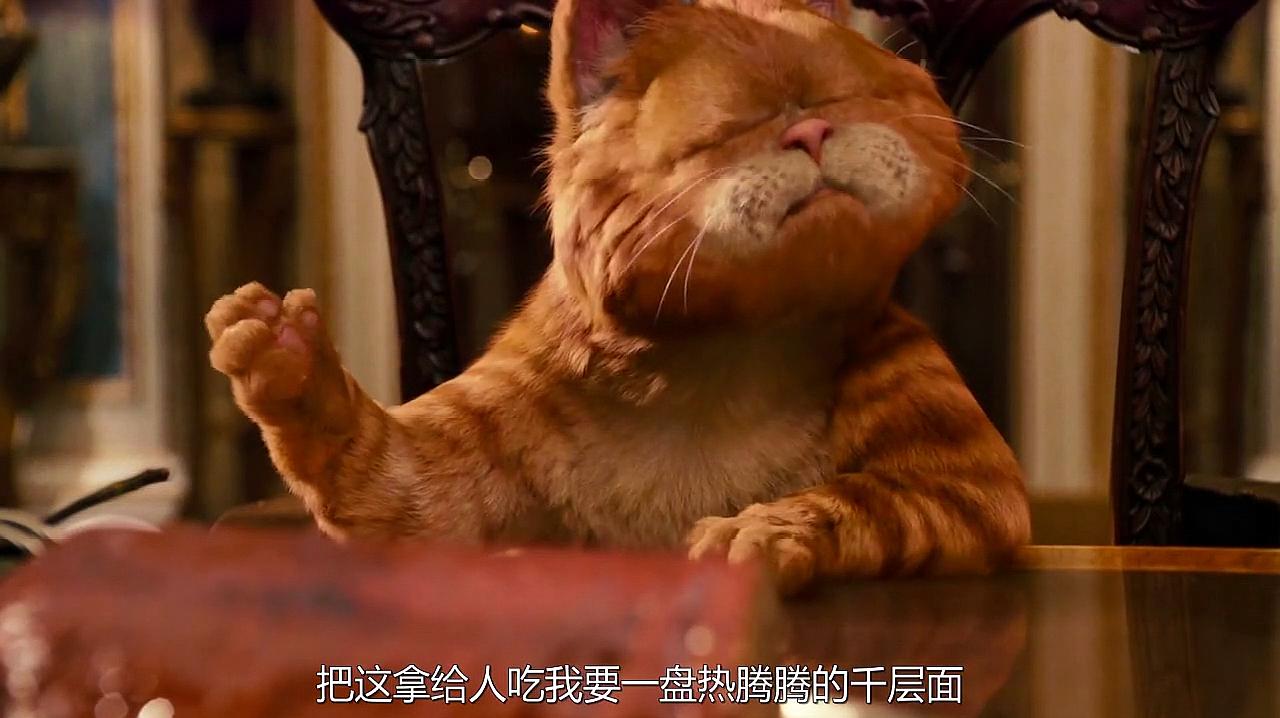 加菲猫的幸福生活全集