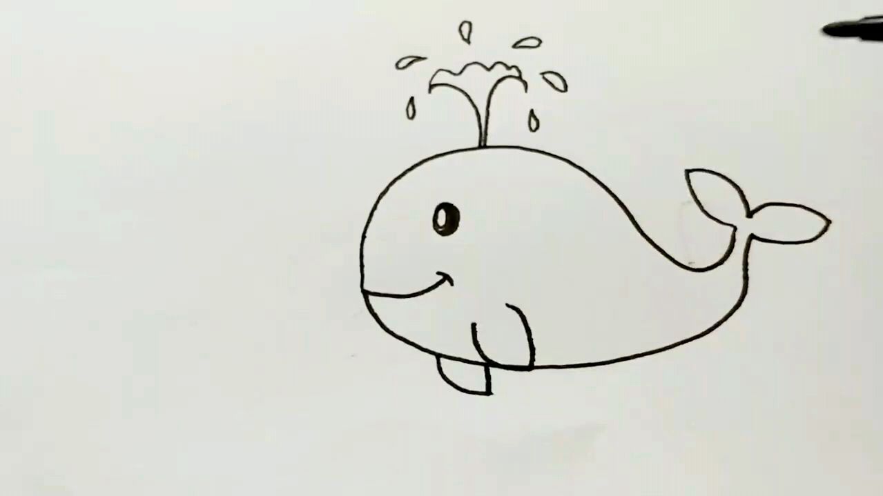 一笔一画教你画小鲸鱼