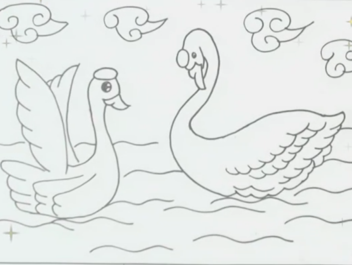 野天鹅怎么画简单图片
